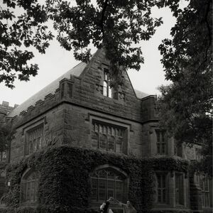 Gallery Photo 36