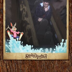 Gallery Photo 3