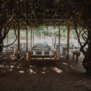 Gallery Photo 167