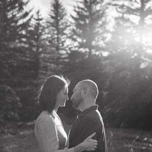 Gallery Photo 15