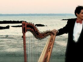 Nicolas Carter - Harpist - Brewster, NY - Hero Gallery 1