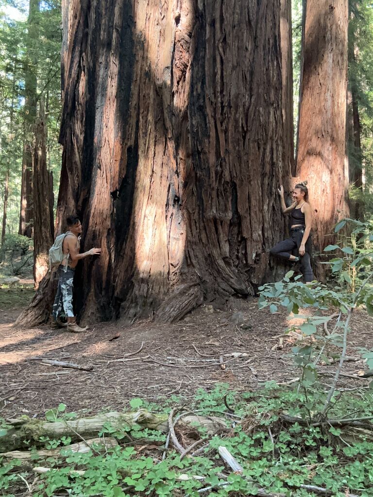 They took their first vacation together - a joint birthday trip to Northern California.