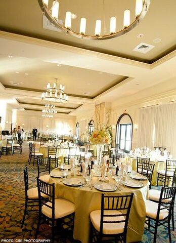 Signature Event Rentals  Rentals  Tampa  FL 