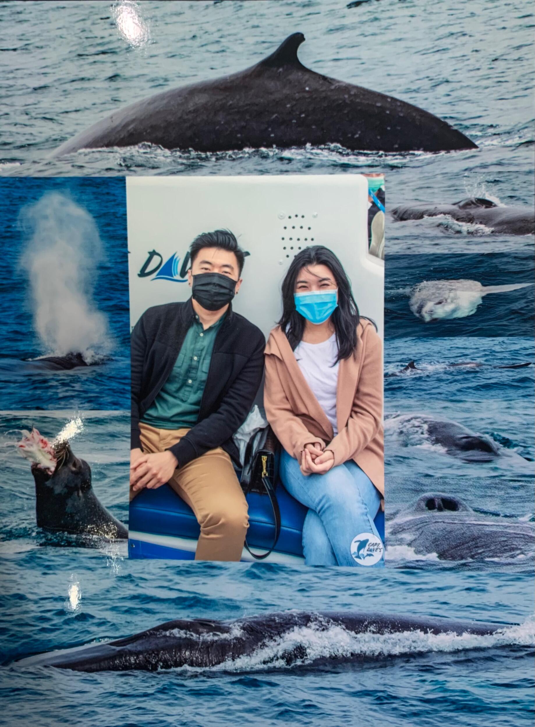 Our first date — Whale watching at Laguna Beach.