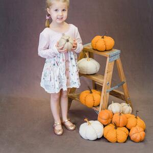 Gallery Photo 6