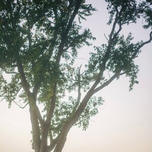 Gallery Photo 10