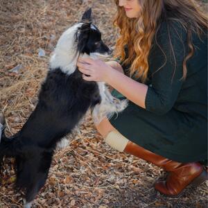 Gallery Photo 8