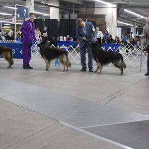 Gallery Photo 14