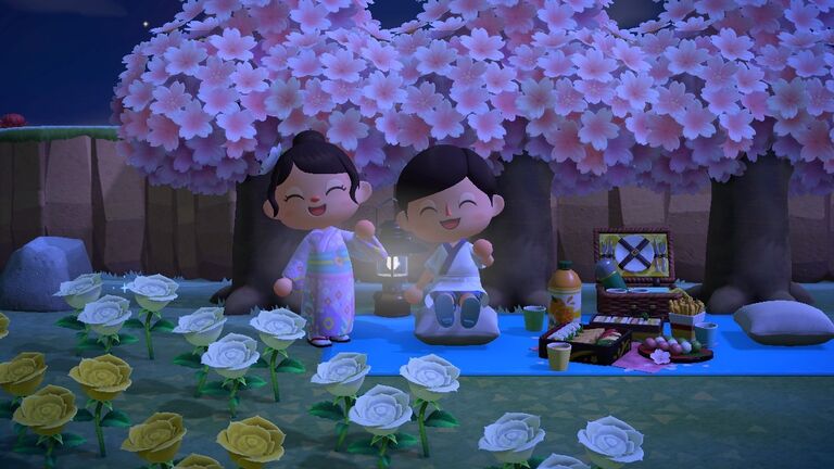 But still we visited each other in Animal Crossing...