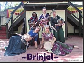 Brinjal Band - World Music Band - Baltimore, MD - Hero Gallery 2