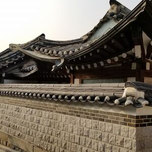 Gallery Photo 9