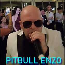 Pitbull Enzo - Pitbull Tribute Party Experience, profile image