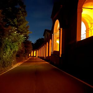 Gallery Photo 38