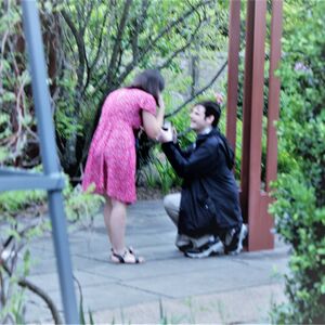 Gallery Photo 6