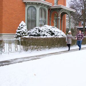 Gallery Photo 17