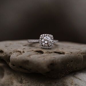 Gallery Photo 31