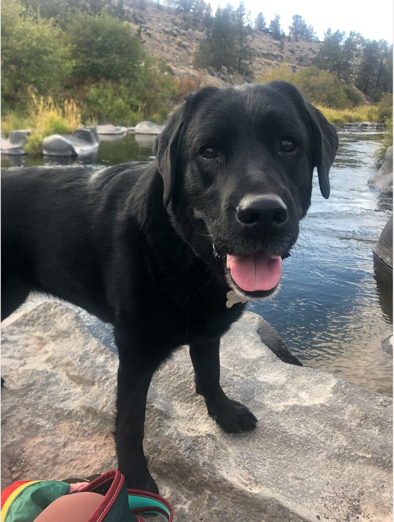 && more importantly, Daisy fell in love with Oregon too!