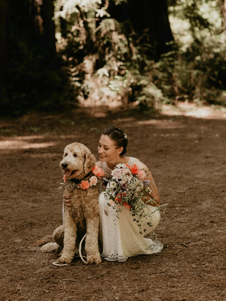 Bride hugging dog with flower dog collar for a first look with dog moment.