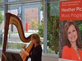 Tiffany Envid Jones - Harpist - Harpist - Columbus, OH - Hero Gallery 3