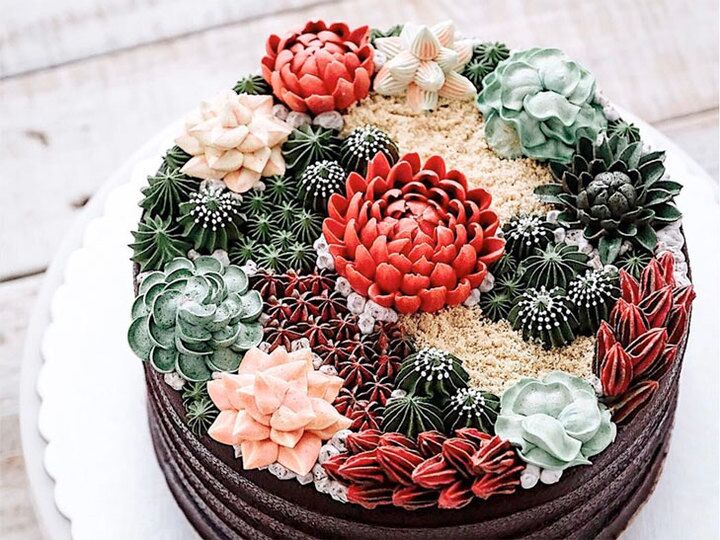 Succulent cake