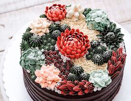 Succulent cake