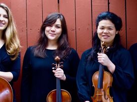 Tower String Quartet - String Quartet - Sacramento, CA - Hero Gallery 1