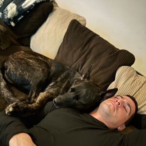 Gallery Photo 54