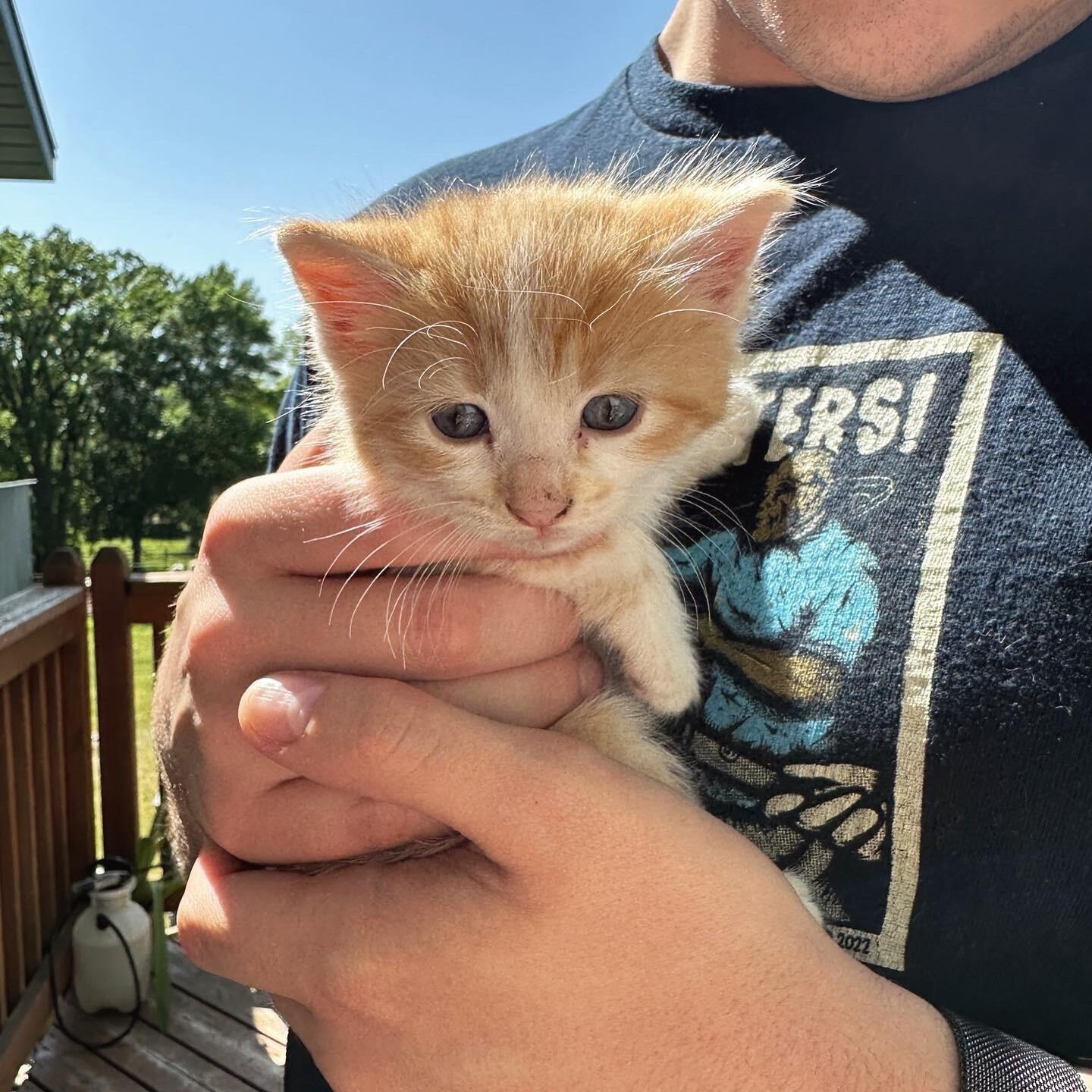 Adopted Sol!