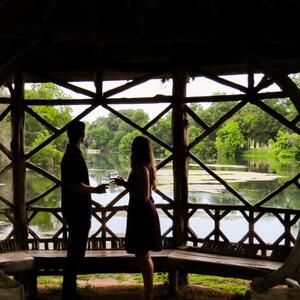 Gallery Photo 8