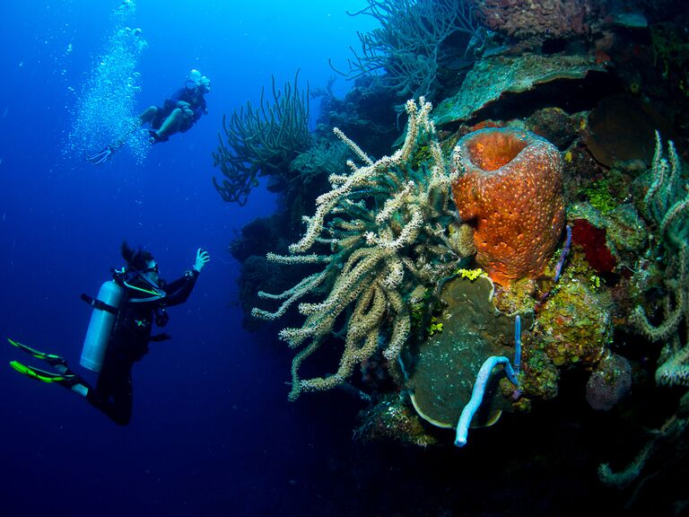 Couple enjoying scuba diving in Turks and Caicos Islands