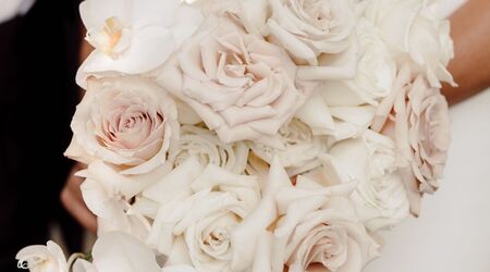 12 pink roses beautifully wrapped in Brooklyn, NY | LV Flower Events