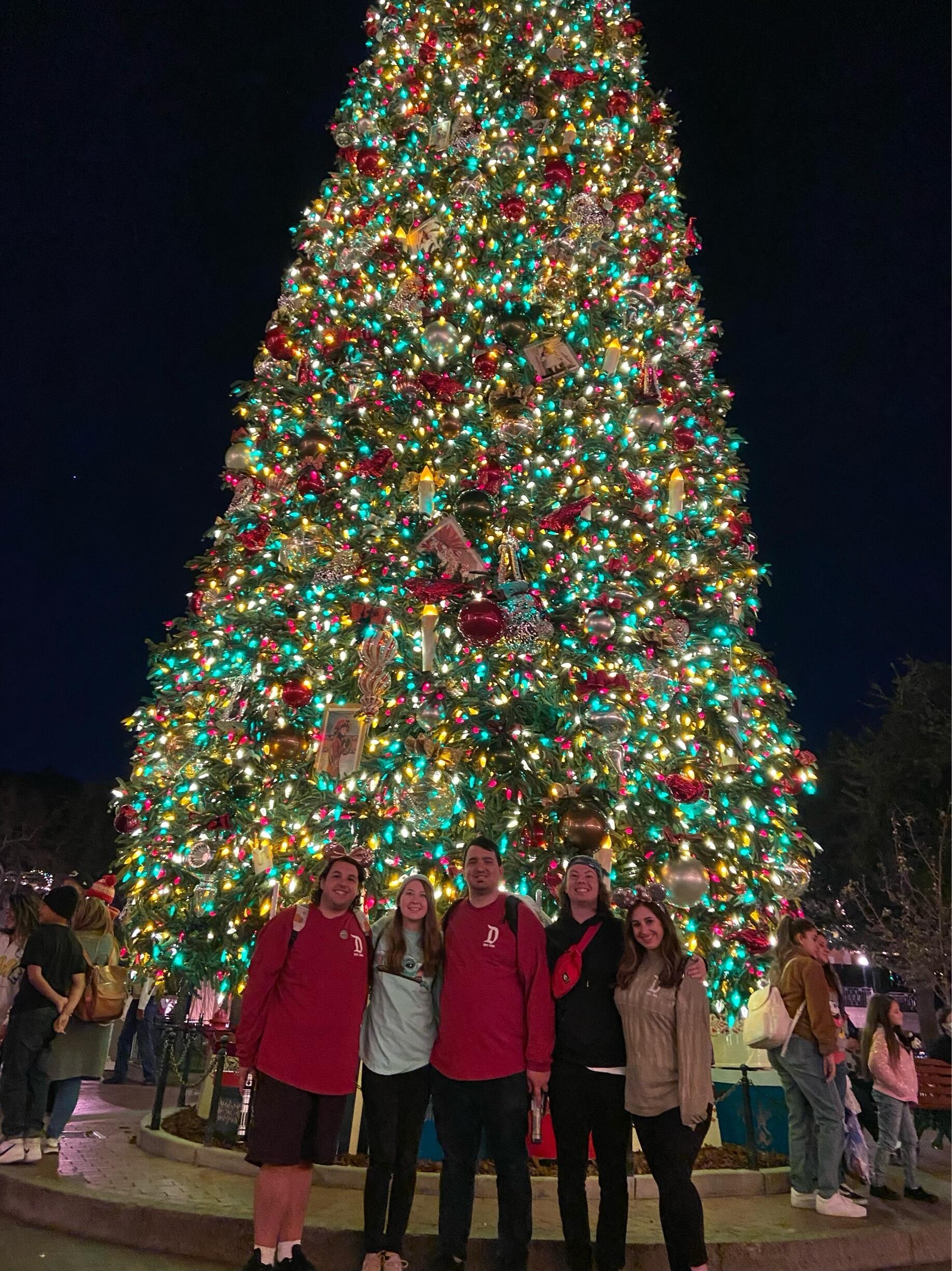 Disneyland at Christmas Time!