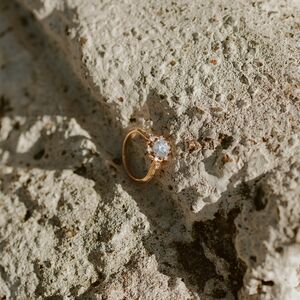 Gallery Photo 156