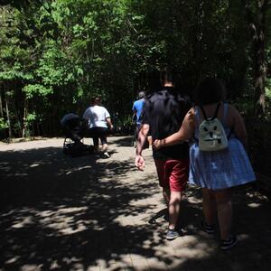 Gallery Photo 19