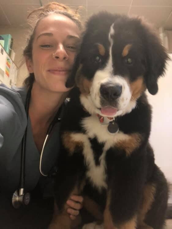 && in June, I started my first job as a veterinarian - a day I've been waiting for since I first learned there was such a thing at 5 years old. 