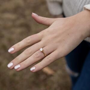 Gallery Photo 31
