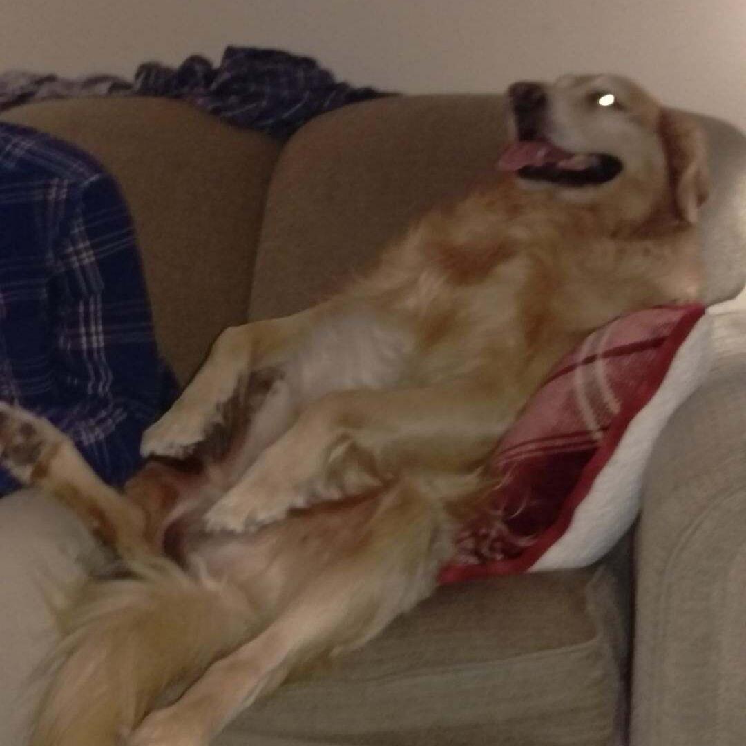 . . . 