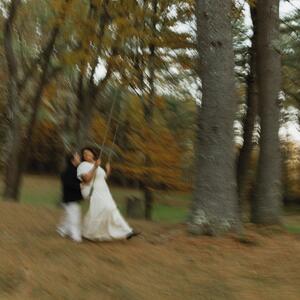 Gallery Photo 41