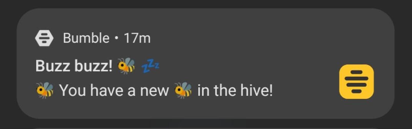 We matched on Bumble. This is where it all began.