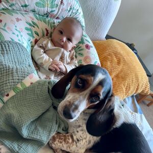 Gallery Photo 48