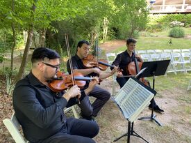 The Poulenc String Quartet - String Quartet - Snellville, GA - Hero Gallery 4
