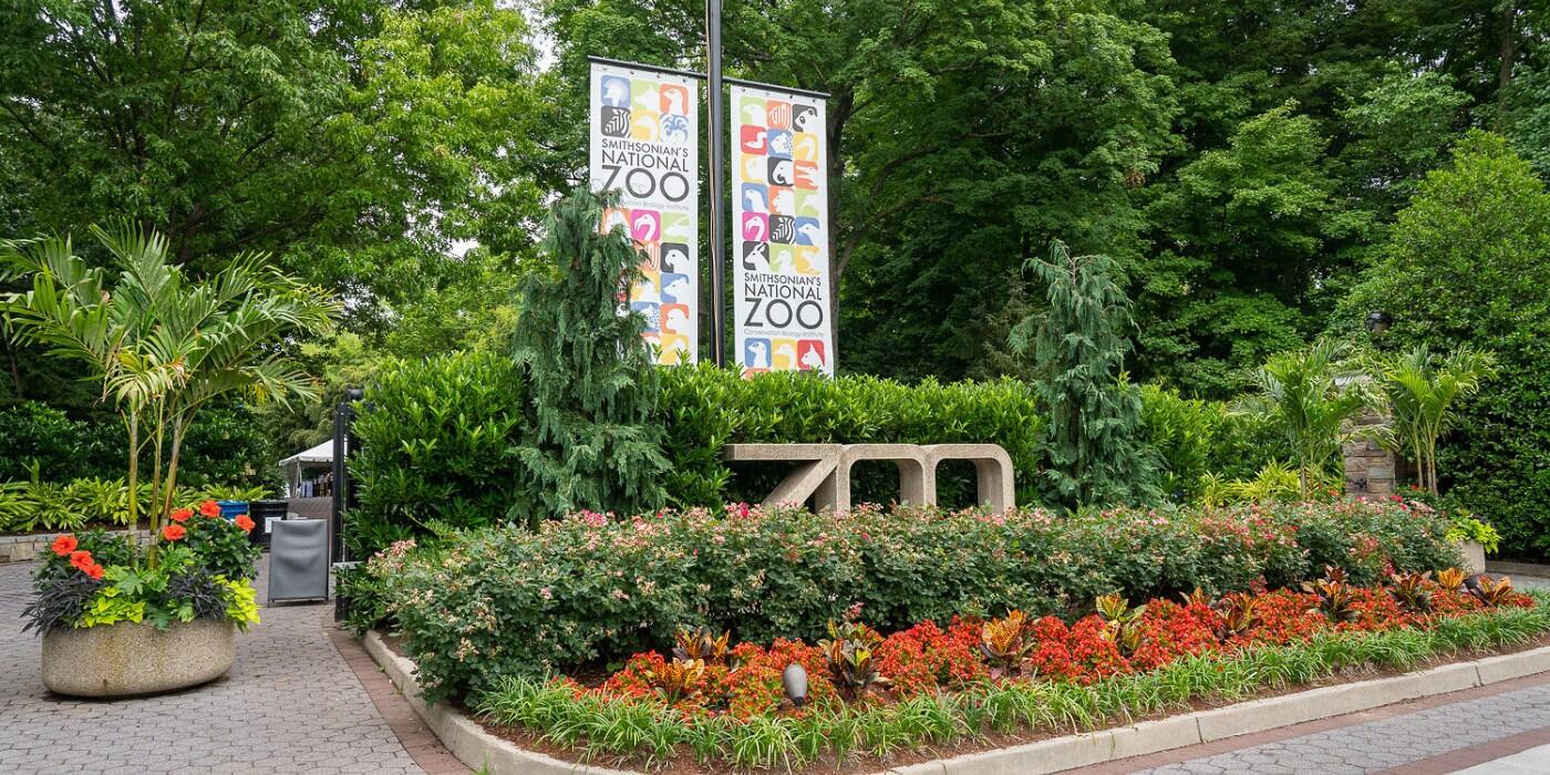 Pat and Jamie meet at the Zoo while both working to plan (one enthusiastically and one begrudgingly) the Annual Staff Appreciation Luncheon 