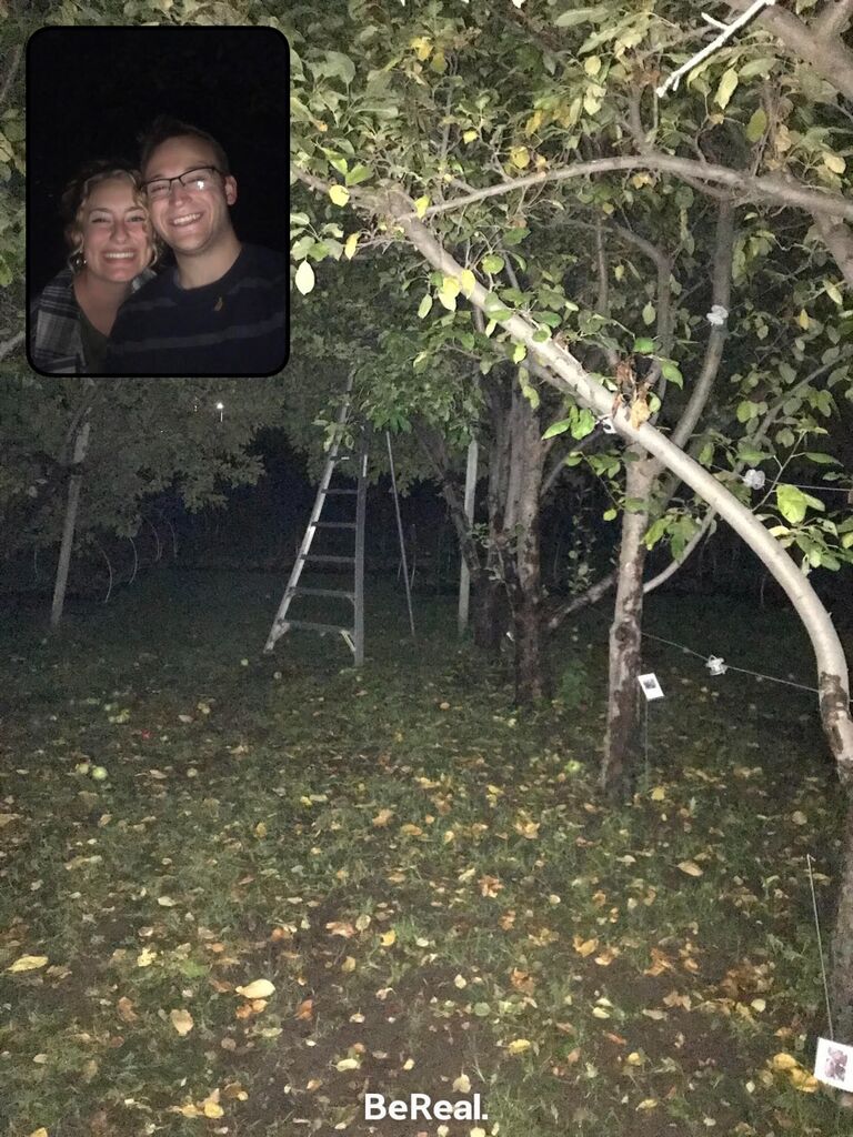Late night apple picking.