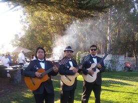 Trio Madrigal (Trio-Mariachi) - Acoustic Band - San Jose, CA - Hero Gallery 2