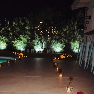 Gallery Photo 11