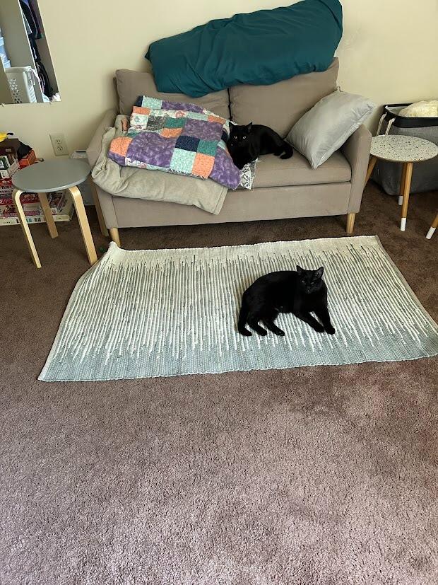 Aimee and Rex move in with Kyle and Odin!