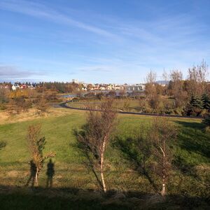 Gallery Photo 37