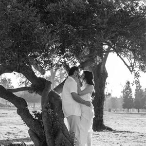 Gallery Photo 5