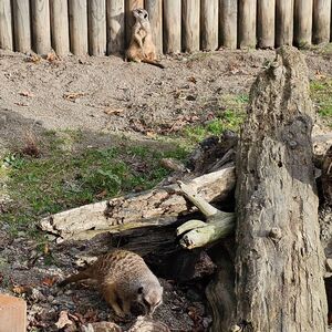 Gallery Photo 163