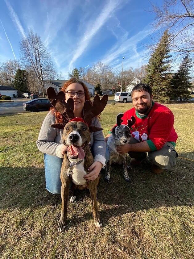 If you can't have snow for Christmas, you should at least have rein-dogs and ugly sweaters... 
